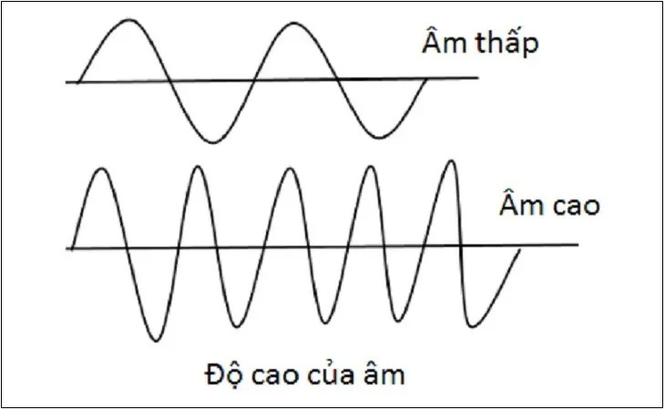 Khái niệm về âm cao (Treble) trong âm nhạc