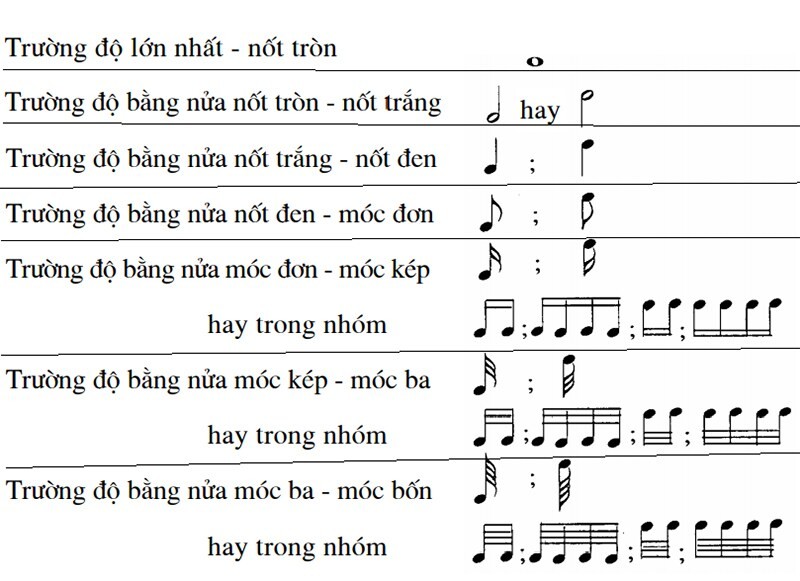 Sơ đồ giải thích trường độ của các nốt nhạc từ nốt tròn đến nốt móc tư