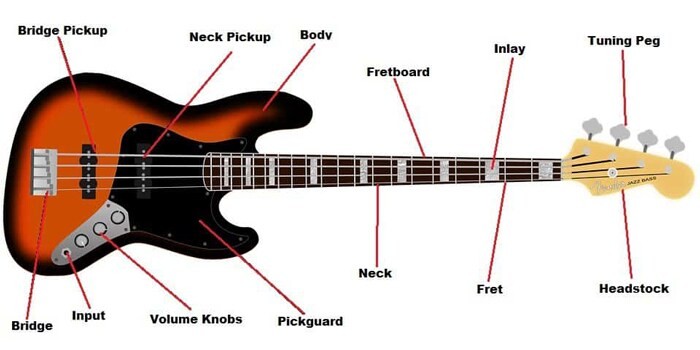 Cấu tạo cơ bản của một cây đàn guitar 4 dây