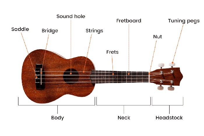 Cấu tạo cơ bản của một cây đàn Ukulele