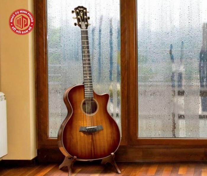 Đàn guitar bị nấm mốc do độ ẩm cao gây hư hại cấu trúc gỗ và âm thanh