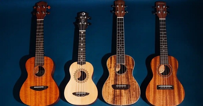 Ukulele 4 dây có mức giá dao động rộng, phù hợp với nhiều đối tượng người chơi
