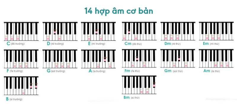 Hình ảnh minh họa 14 hợp âm cơ bản trên đàn piano, bao gồm cả hợp âm trưởng và thứ