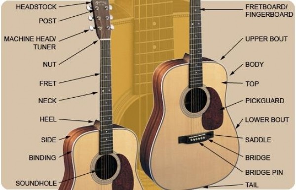 nlargecau tao dan guitar 1