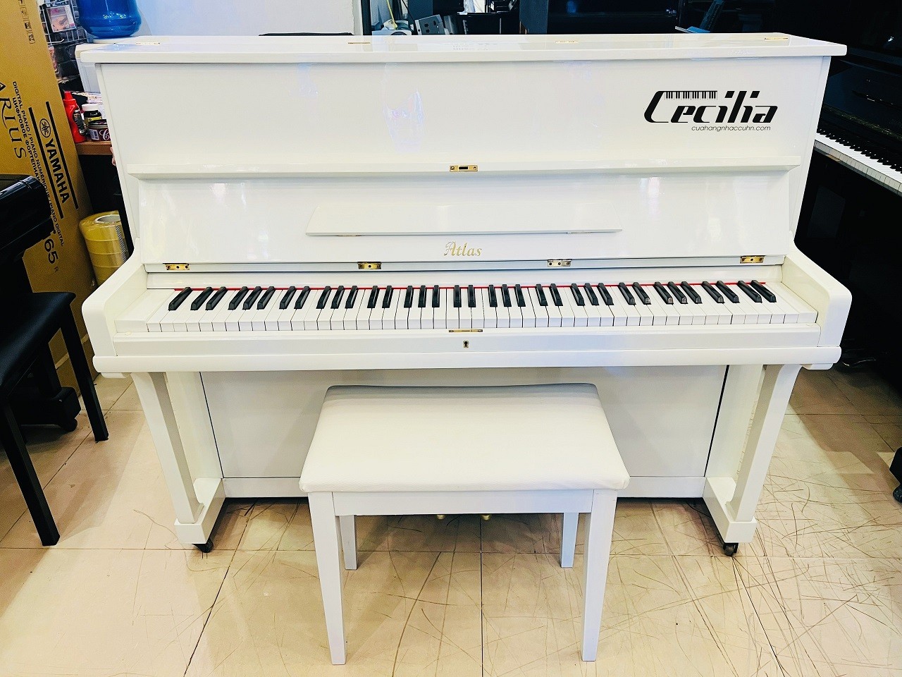 piano co atlas trang 1 1