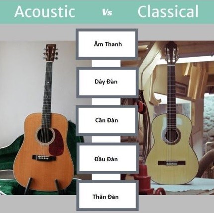Sự khác nhau giữa đàn guitar acoustic và guitar classic qua hình ảnh
