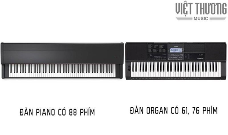 Số lượng phím đàn trên đàn Piano và đàn Organ