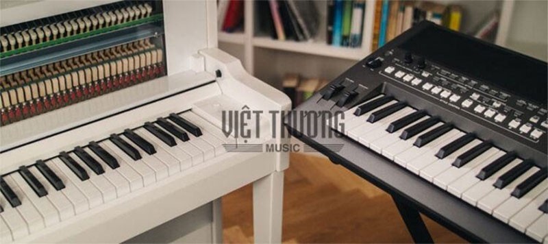Phân vân giữa việc lựa chọn mua đàn Piano hay Organ