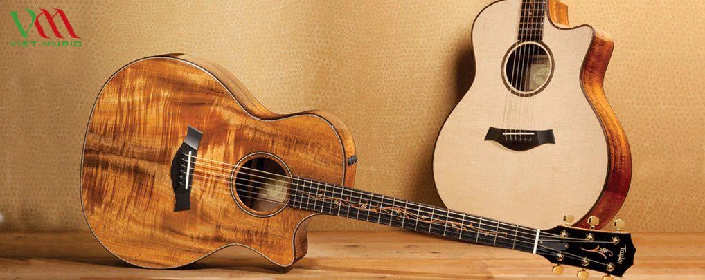 Đàn Guitar Acoustic Taylor với thiết kế hiện đại và âm thanh trong trẻo