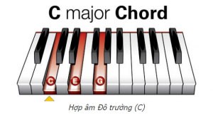 Thế bấm hợp âm Đô Trưởng trên đàn piano