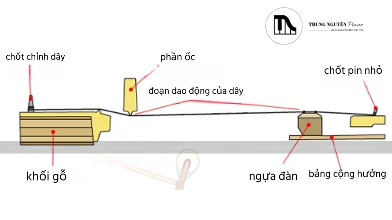 Nguyên lý hoạt động của Piano