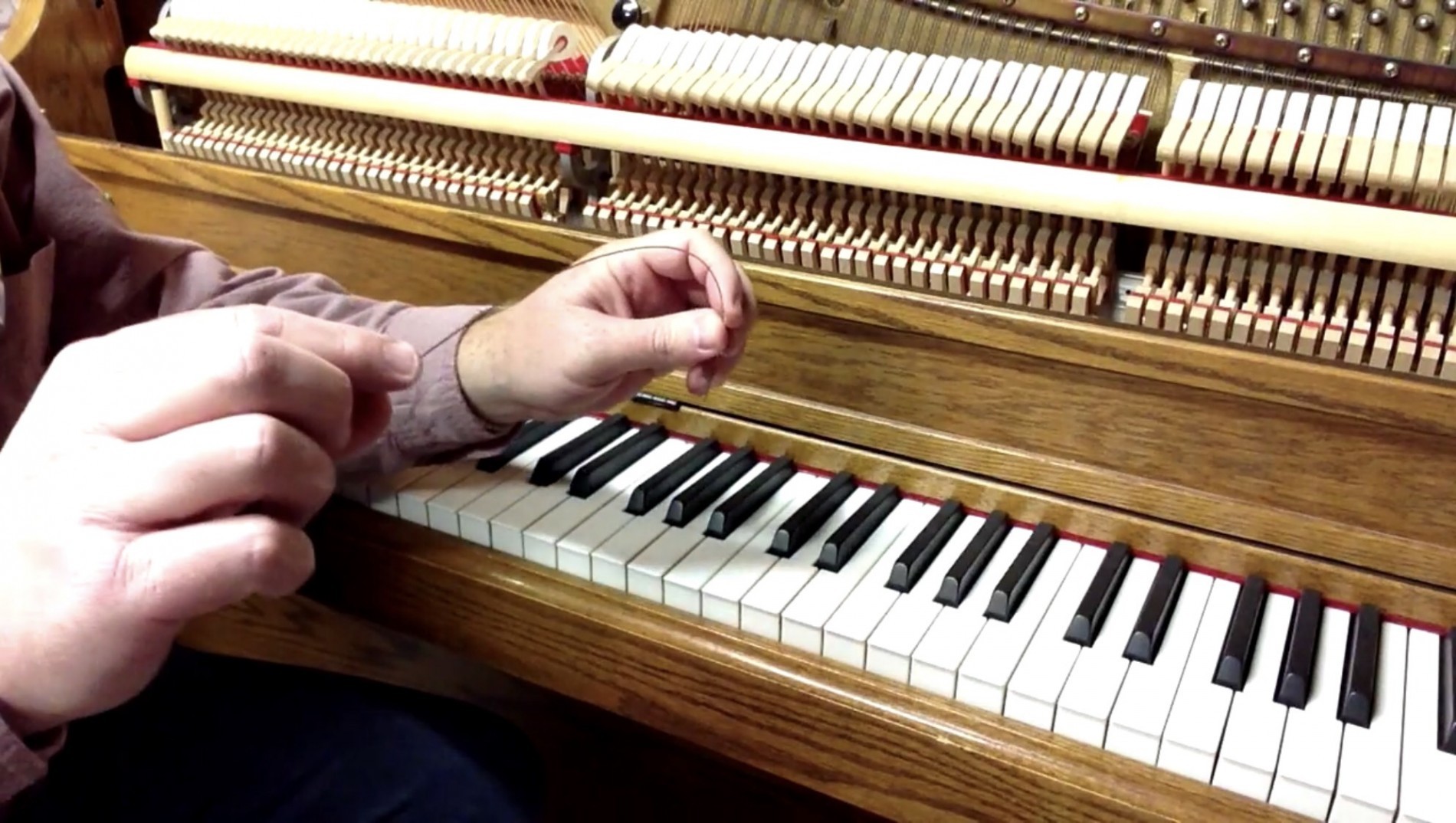 Kỹ thuật viên đang kiểm tra và sửa chữa bộ máy bên trong của một cây đàn piano cơ