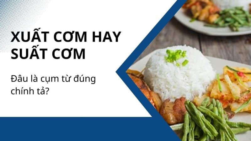 Cận cảnh một cuốn từ điển tiếng Việt mở ra, biểu tượng cho việc học hỏi và tra cứu kiến thức ngôn ngữ