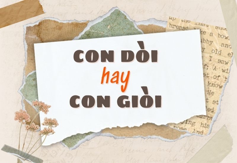 con doi hay con gioi 1