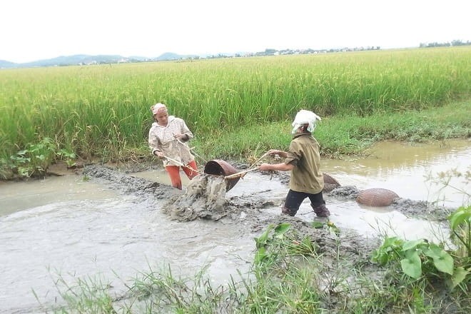 di hay gi la dung 1