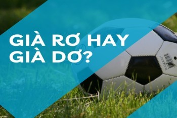 Sự khác biệt giữa "già dơ" và "già rơ" – một ví dụ điển hình về nhầm lẫn âm g/r