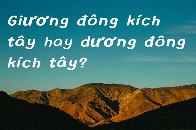 Giương Đông Kích Tây: Chiến Thuật Nghi Binh Đỉnh Cao và Mẹo Phân Biệt "Giương" hay "Dương" Chính Xác Nhất 1 giuong dong kich tay hay duong dong 1