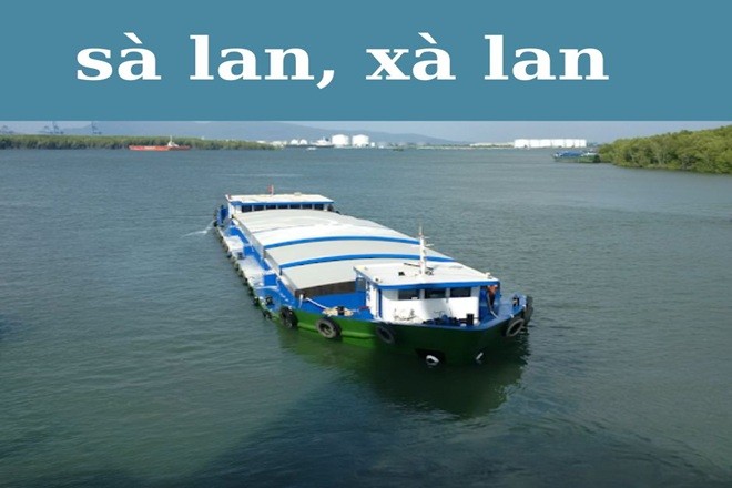 Sà Lan Hay Xà Lan: Giải Mã Câu Chuyện Chính Tả Thường Gặp Trong Ngôn Ngữ Tiếng Việt 1 sa lan hay xa lan 1