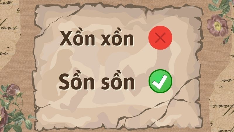 son son hay xon xon 1