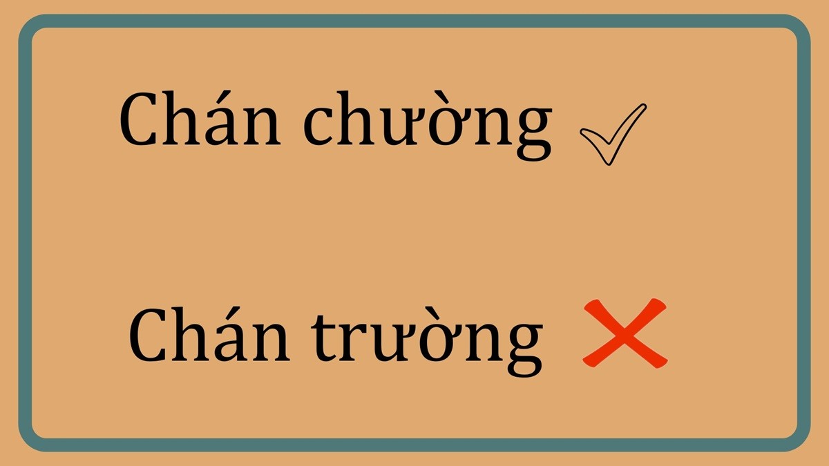 chan chuong hay chan truong 1