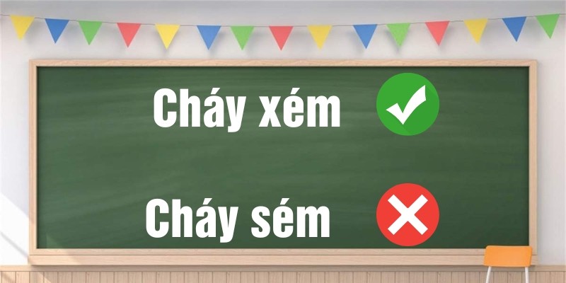 Cháy xém hay cháy sém: Giải mã chính tả, nguồn gốc và bí quyết dùng đúng chuẩn tiếng Việt 1 chay xem hay chay sem 1