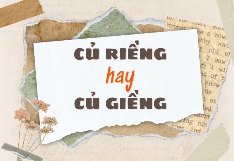 Củ riềng tươi với màu sắc đặc trưng và các đốt rõ rệt