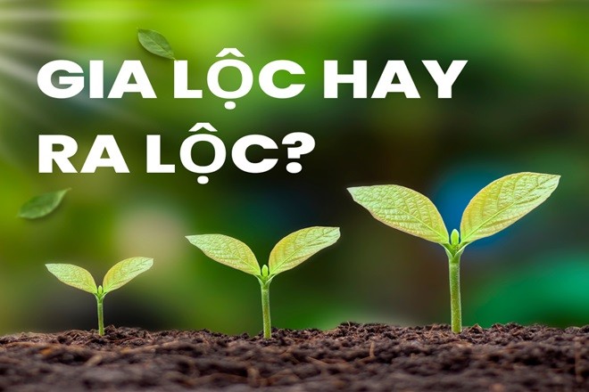 Sự nhầm lẫn giữa gia lộc và ra lộc