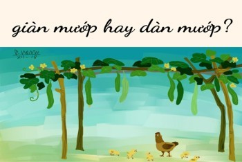 Quy tắc phân biệt d và gi trong từ Hán Việt giúp viết đúng chính tả