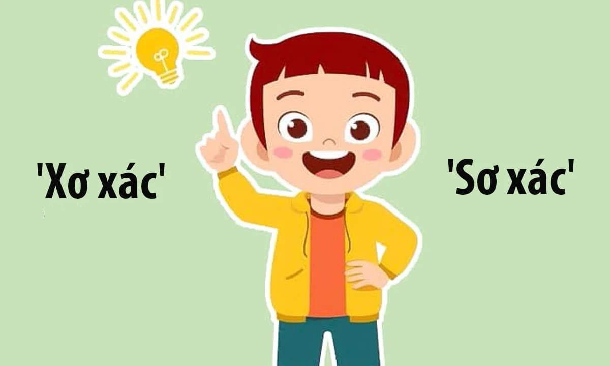 Một cây cổ thụ với cành lá xơ xác trơ trụi giữa cánh đồng rộng lớn, bầu trời xám xịt